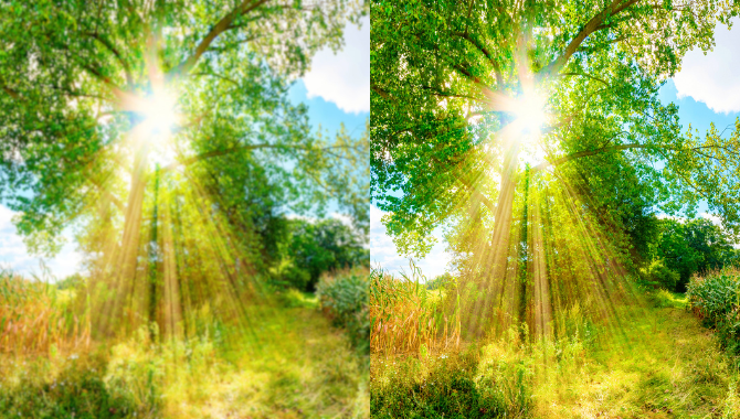 Excellent picture quality performance