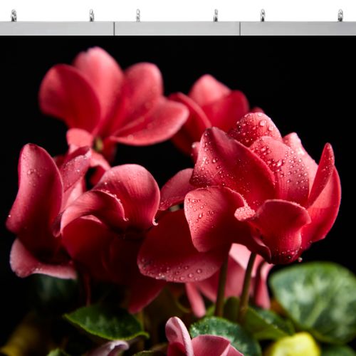 Hanging installation