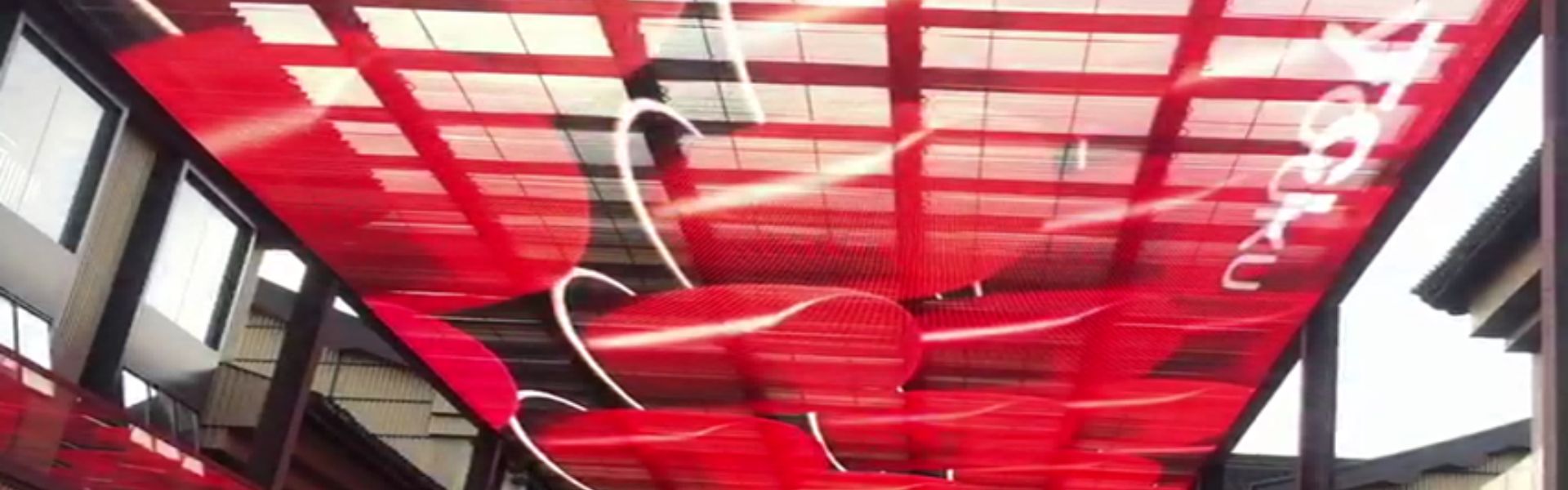 Transparent screen case