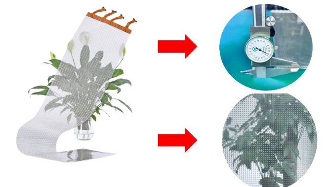 Ultra-thin, ultra-transparent