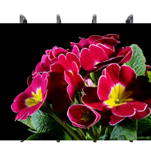 stacking installation display