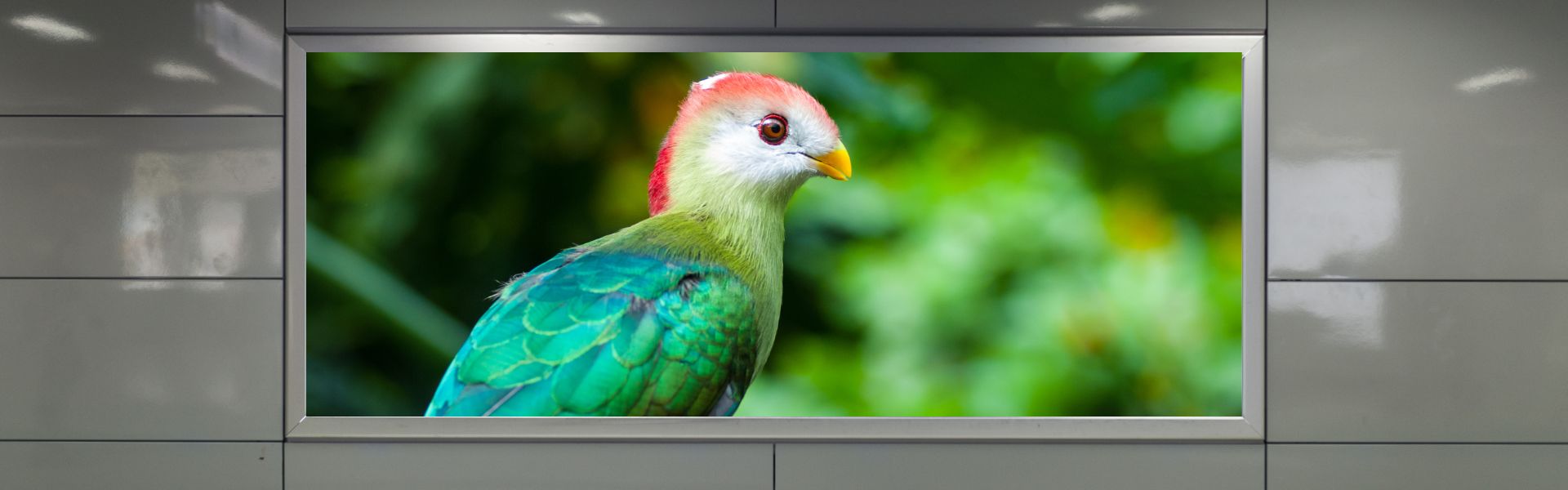 led video wall panels