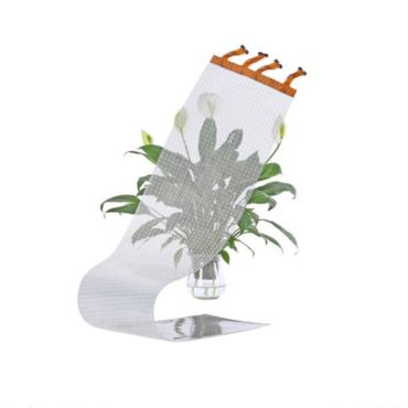 Transparency Film Screen